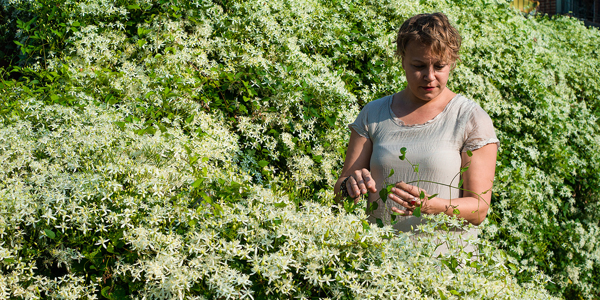 rebecca in the midst of tall flowering bush