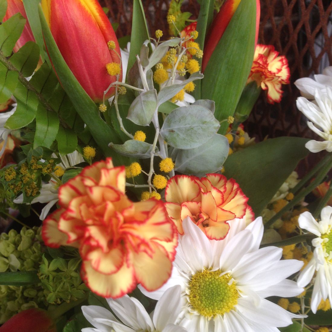 close-up of warm-toned flowers